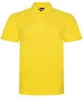 Popular Polo