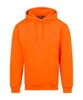 Popular Hoodie